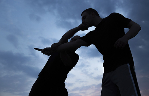 Krav Maga website